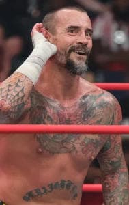 CM Punk in action