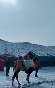 The Indian Army on Monday announced that it has deployed double-humped camels for logistical support to the troops in eastern Ladakh. The Army also shared a video of the deployed double-humped camels along with the post.