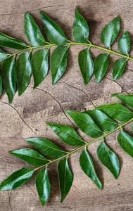 As per experts, consuming curry leaves can help reduce insulin sensitivity in the body and reduce blood glucose levels. It is suggested to chew fresh curry leaves for effective results. 